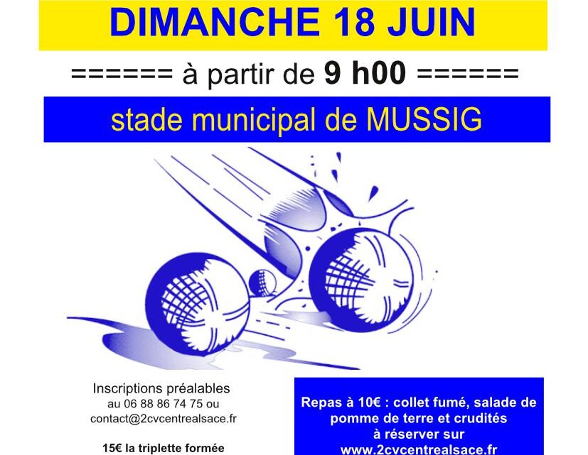 Tournoi de pétanque